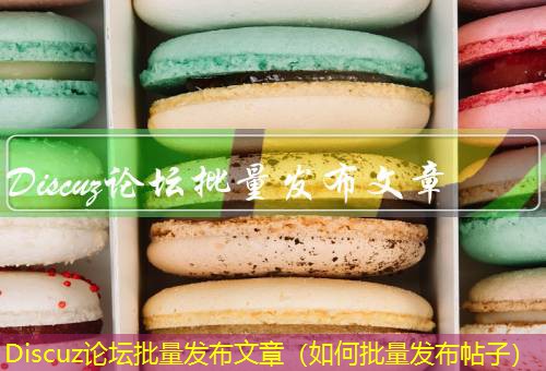 Discuz论坛 Discuz论坛