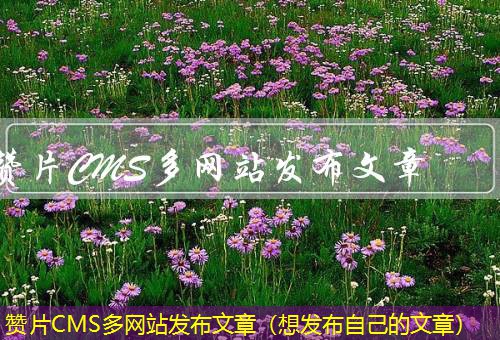 赞片CMS 赞片CMS