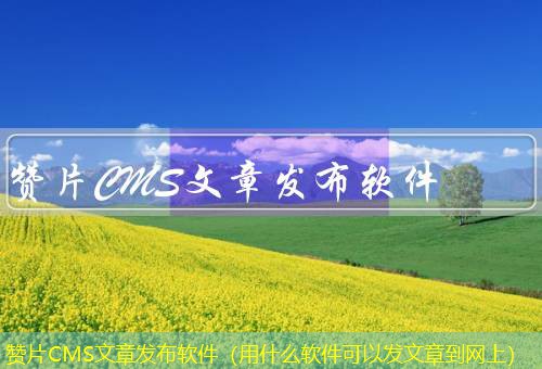 赞片CMS