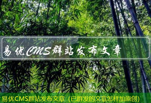 易优CMS 易优CMS