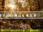赞片CMS群站发布文章（文章转发群）