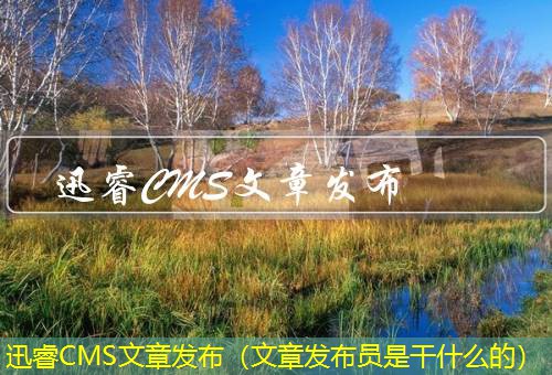 迅睿CMS