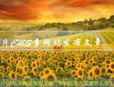 赞片CMS多网站发布文章（多网站发布文章怎么发）