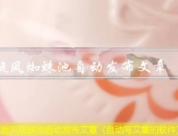 小旋风蜘蛛池自动发布文章（自动写文章的软件）