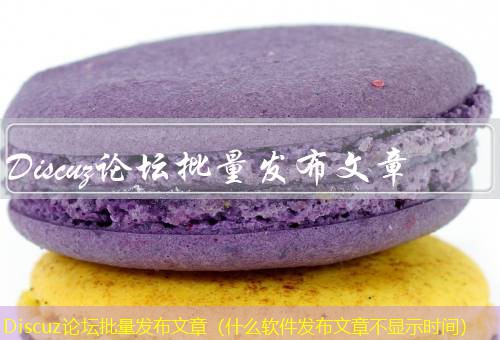 Discuz论坛