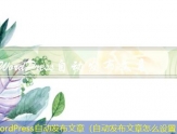 WordPress自动发布文章（自动发布文章怎么设置）