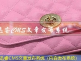 迅睿CMS文章发布系统（内容发布系统）