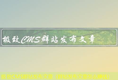 极致CMS