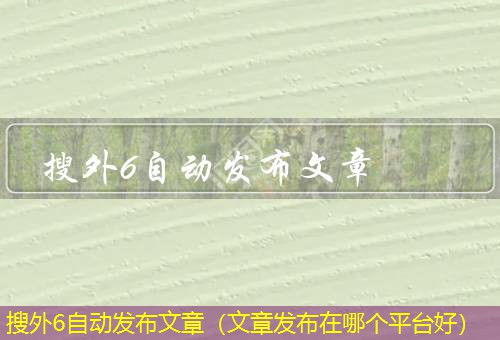 搜外6 搜外6