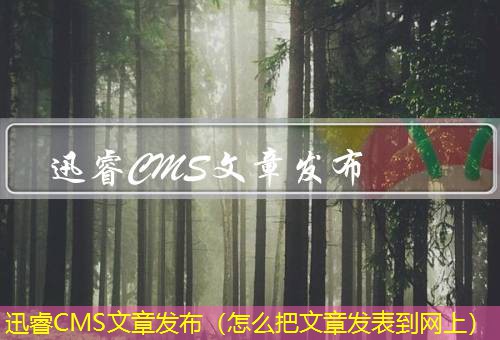 迅睿CMS
