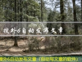 搜外6自动发布文章（自动写文章的软件）