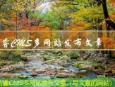 迅睿CMS多网站发布文章（写文章的网站）