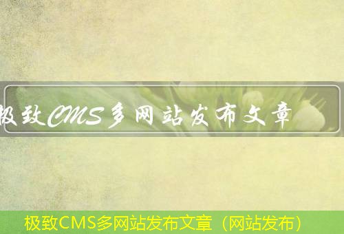 极致CMS