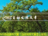 iCMS站群发布文章（可以发布文章的论坛）