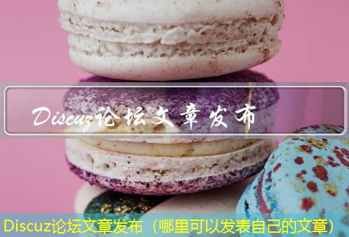 Discuz论坛 Discuz论坛