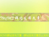 TWCMS批量发布文章（文章一键发布）