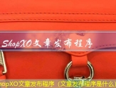 ShopXO自动发布文章（怎么自动发布）