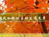 易优CMS文章发布软件（文章发布软件哪个好用）