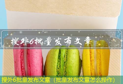 搜外6