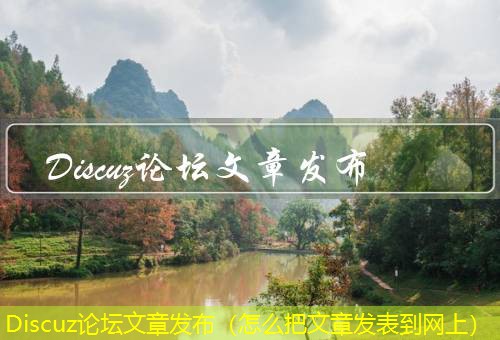 Discuz论坛 Discuz论坛