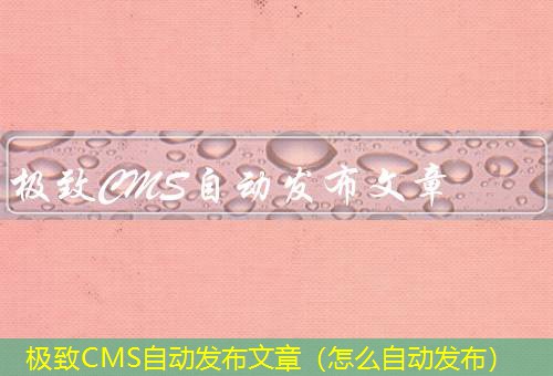 极致CMS