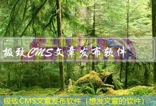 极致CMS