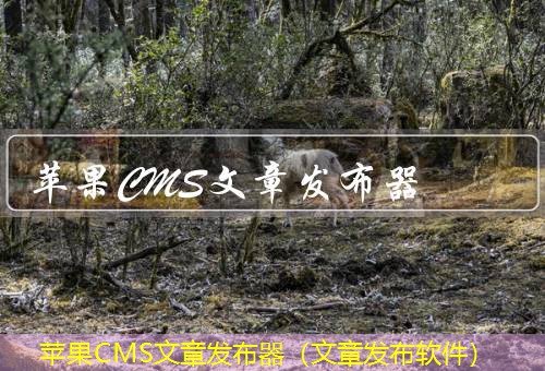 苹果CMS