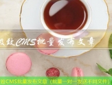 极致CMS文章发布程序（可以发布文章的平台）